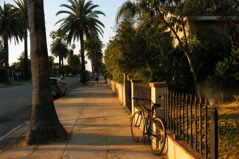 A quiet palm-lined Key West street in warm evening light, no text, no logos, no people