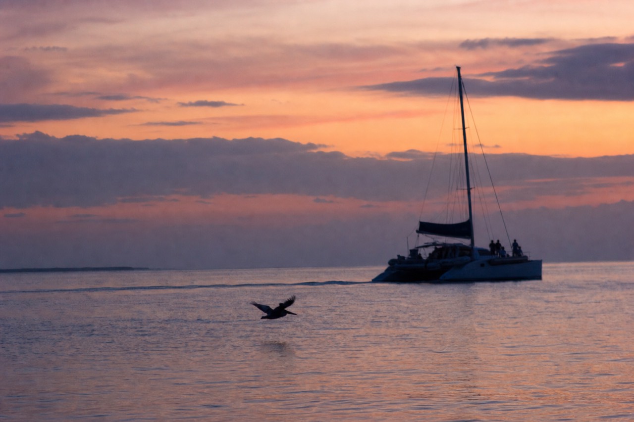 Sunset over calm waters with a catamaran silhouette, no text, no logos, no people
