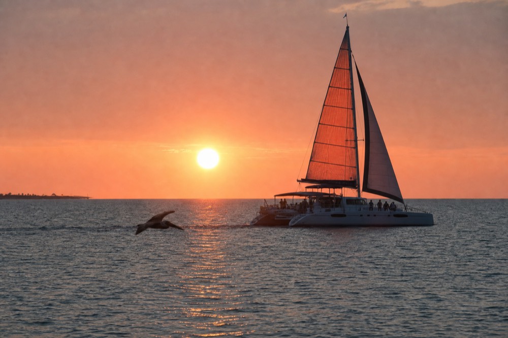 A catamaran under sail passing in front of the setting sun off Key West, no text, no logos, no people