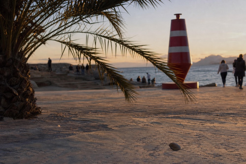 The Southernmost Point Buoy at golden hour with palm trees, no text, no logos, no people